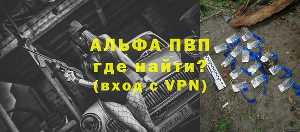 ECSTASY Дмитровск