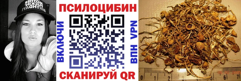Купить закладки  Киренск  Псилоцибиновые грибы Cubensis 